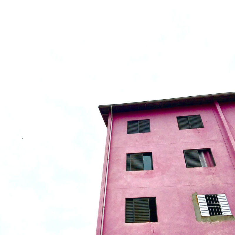 METADE ROSA