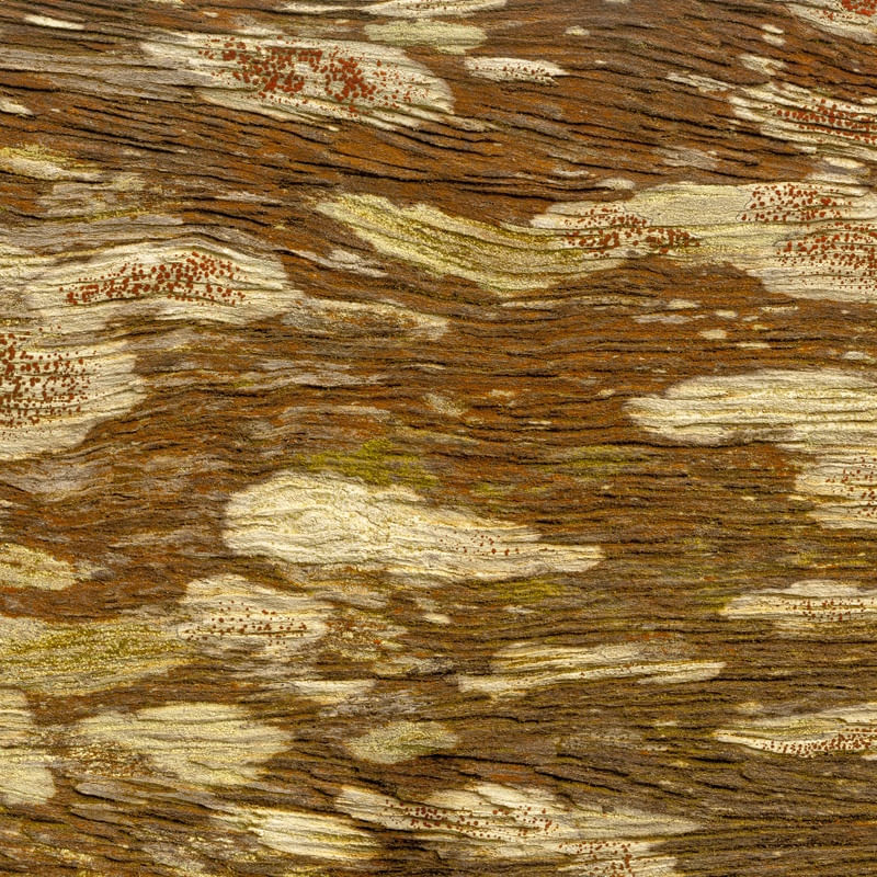 MADEIRA ABSTRATA 1
