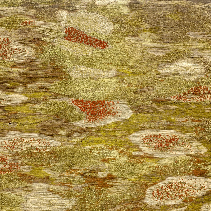MADEIRA ABSTRATA 2
