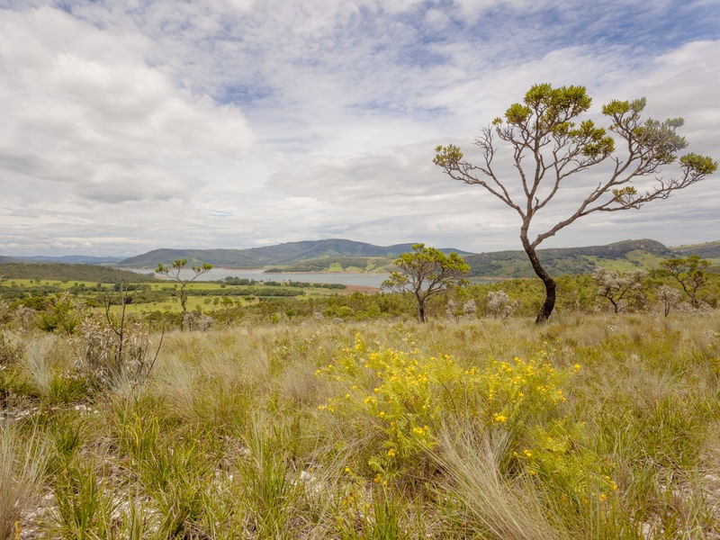 PAISAGEM DO CERRADO 1