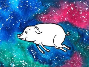 SPACE PIG
