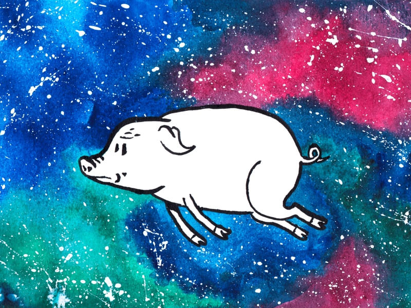 SPACE PIG