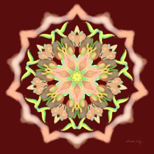 MANDALA PINCELADAS MARROM