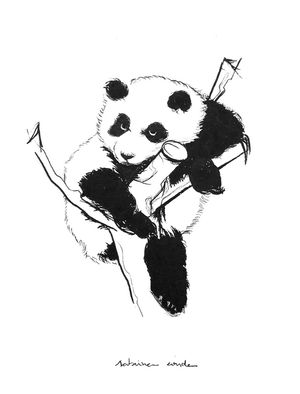 PANDABEAR