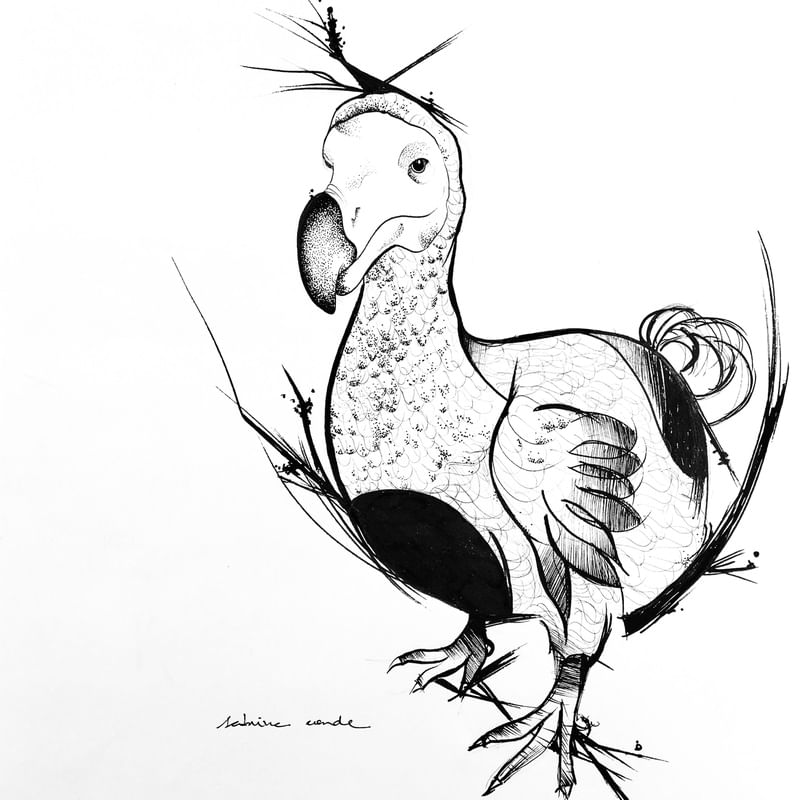 PÁSSARO DODO
