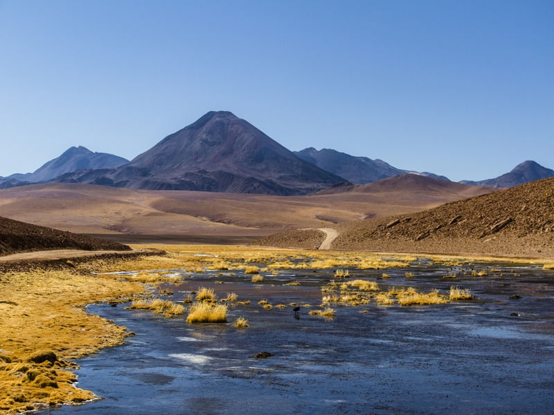 CORES E FORMAS DO DESERTO