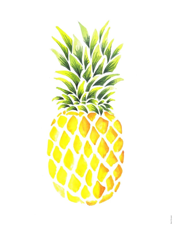 ABACAXI AQUARELA