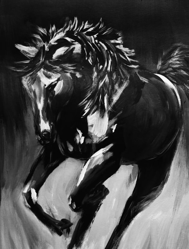 BLACK HORSE 03