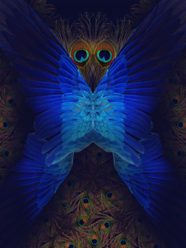 CORUJA AZUL
