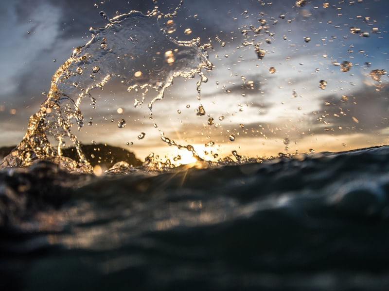 WATER DROPS