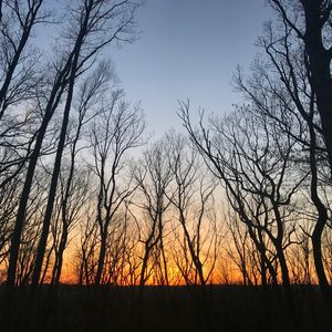 SUNSET RESTART