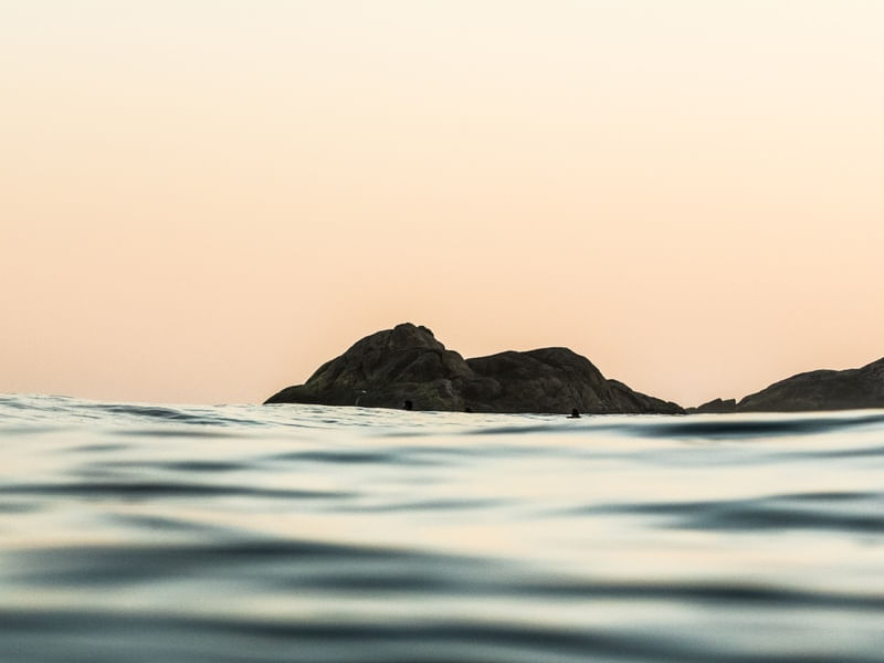 SEA ROCKS