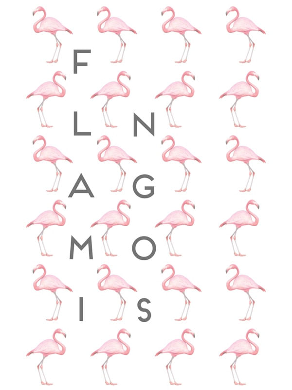 FLAMINGOS #5