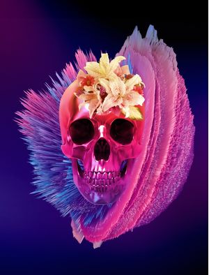 SKULL COLORFUL FLOWER X