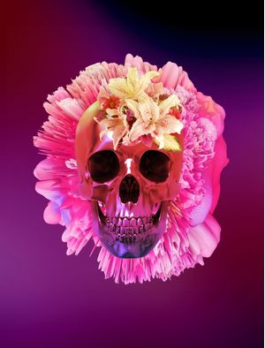 SKULL COLORFUL FLOWER Z