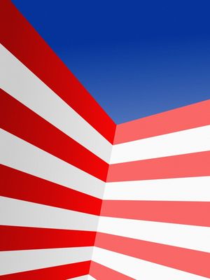 NAVY STRIPES