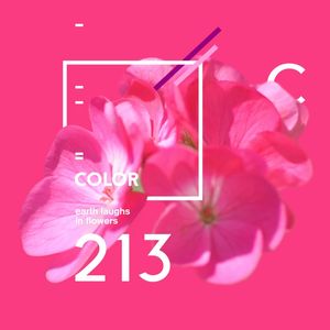 FLOR 213