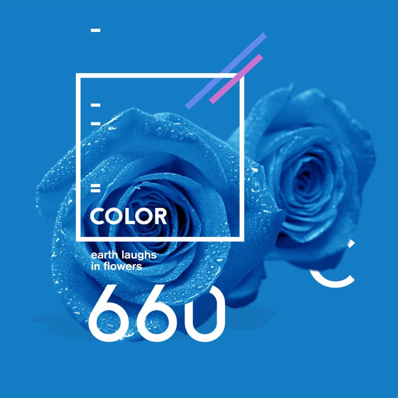 FLOR 660