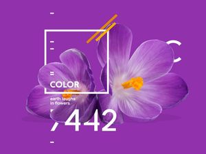 FLOR 7442