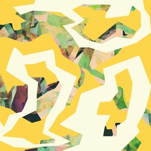 CAMOUFLAGE XXXV