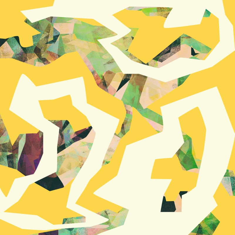 CAMOUFLAGE XXXV