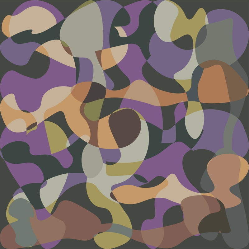 CAMOUFLAGE XXXVII