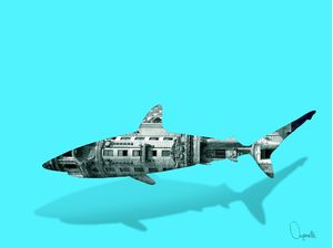 SHARK I