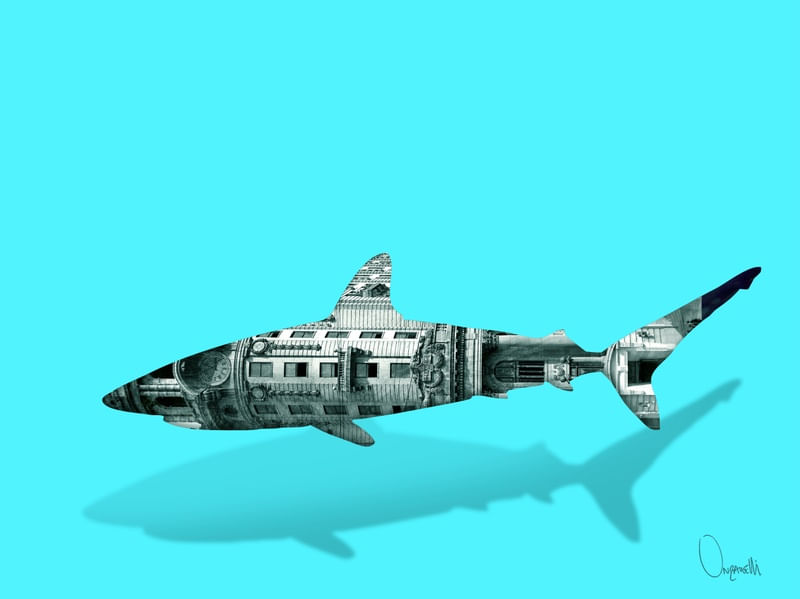 SHARK I
