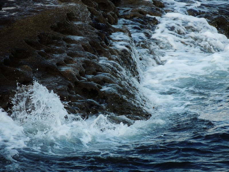 BE WATER, BE FREE