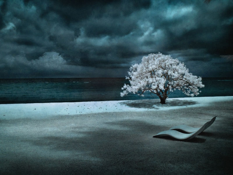 BLUE TIME 1