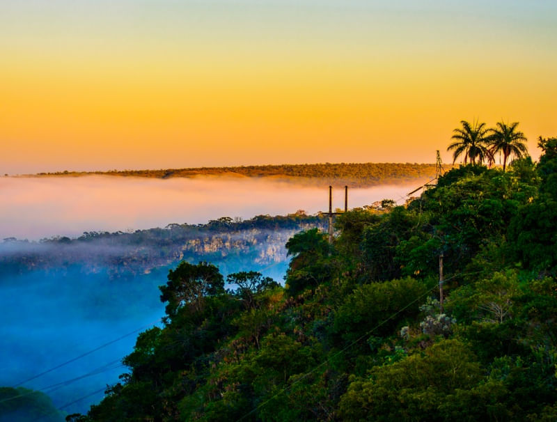 AMANHECER AMARELO EM CAPITÓLIO