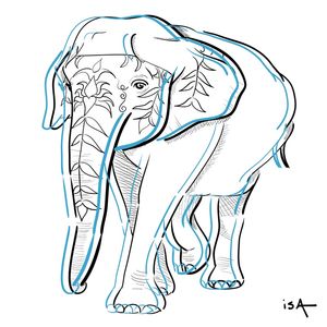 ELEFANTE TRAÇOS