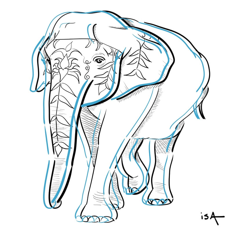 ELEFANTE TRAÇOS