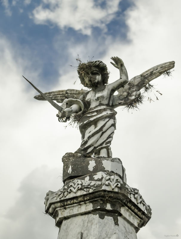 ANJO ESQUECIDO