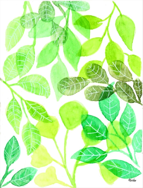 FOLHAS AQUARELA