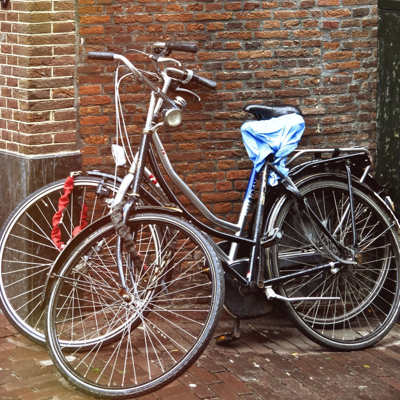 BICICLETA AMSTERDAM NO MURO DE TIJOLINHO