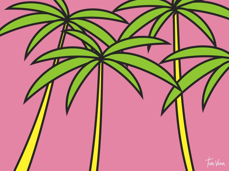 COCONUT TREES