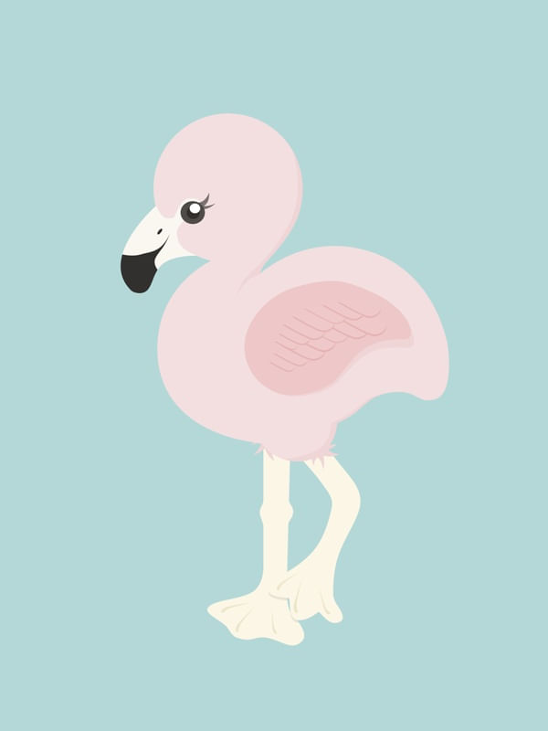 BABY FLAMINGO