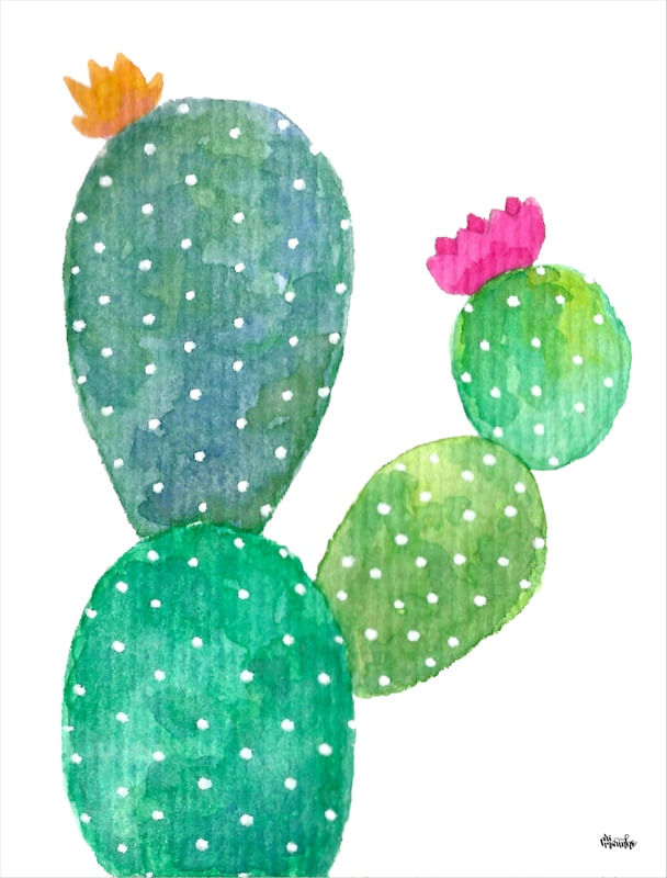 CACTO FLOR 2