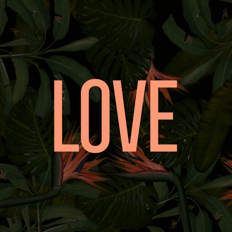 LOVE IN THE FOREST