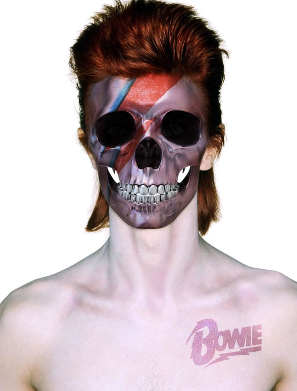 SKULL BOWIE - RIP