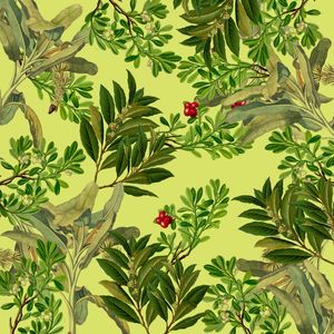 LEAVES IN SUMMER