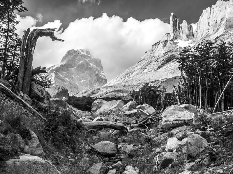 TORRES DEL PAINE II