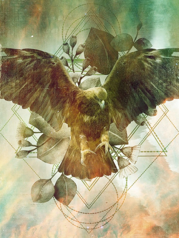 SPIRIT BIRD