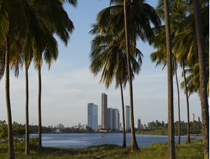 CIDADE ENTRE COQUEIROS