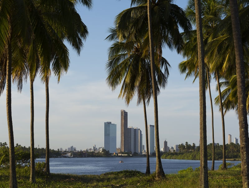CIDADE ENTRE COQUEIROS