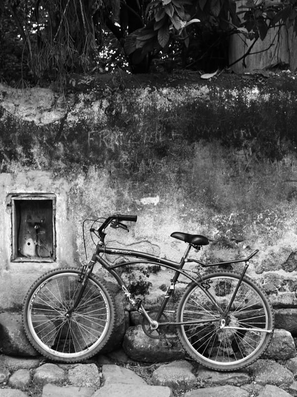 BRASIL POR DENTRO 04