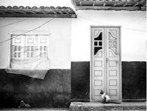 BRASIL POR DENTRO 08