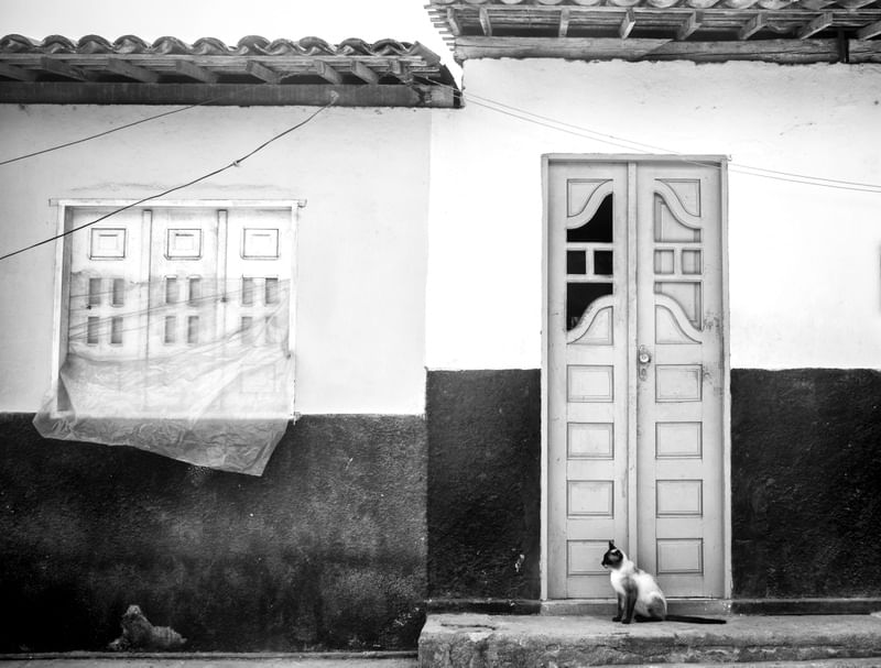 BRASIL POR DENTRO 08