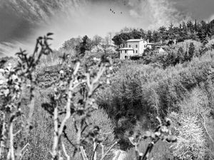 TOSCANA ITÁLIA 02